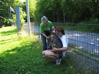 Dogfrisbee Aufbaukurs mit Karin am 01.07.2006