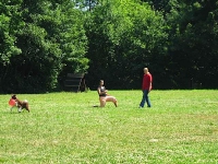 Dogfrisbee Aufbaukurs mit Karin 2006