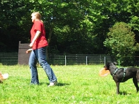 Dogfrisbee Schnupperkurs 01.07.2006