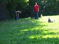Dogfrisbee Schnupperkurs 01.07.2006