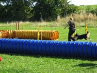 2006 CBF-Dogs