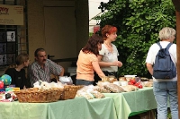Tag des Hundes 2006