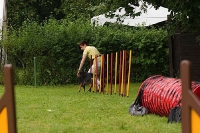 2006 CBF-Dogs