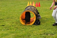 Tag des Hundes 2006