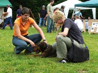 Tag des Hundes 2006