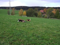 Wanderung 01.11.2006