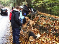 2006 CBF-Dogs