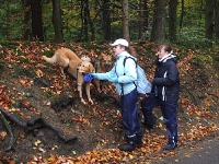 Wanderung 01.11.2006