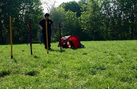 2007 CBF-Dogs