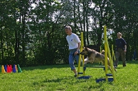2007 CBF-Dogs