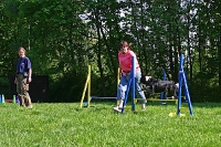 2007 CBF-Dogs