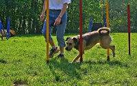 Agility 28.04.2007 Fortgeschrittene & Anfänger