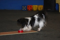 Clickerchallenge 2007