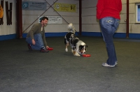 Dogfrisbee Anfänger II mit Karin Actun