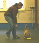 Dogfrisbee Anfänger II mit Karin Actun