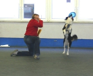 Dogfrisbee Anfänger II mit Karin Actun 14.10.2007