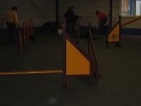 2007 CBF-Dogs