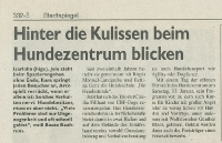 lustige Hundefotos 2007