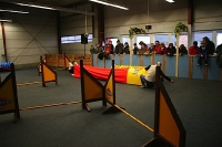 2007 CBF-Dogs