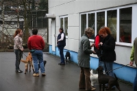2007 CBF-Dogs