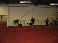2008 CBF-Dogs