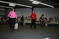 2008 CBF-Dogs