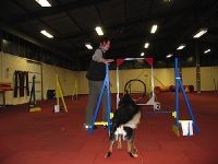 2008 CBF-Dogs
