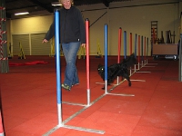 2008 CBF-Dogs