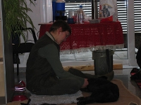 2008 CBF-Dogs