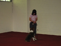 2008 CBF-Dogs