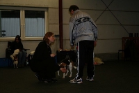 2008 CBF-Dogs