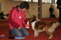 Kreatives Klickern Denise Nardelli 03'2009
