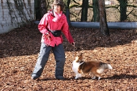 Kreatives Klickern Denise Nardelli 03'2009