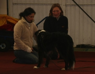 Kreatives Klickern Denise Nardelli 03'2009