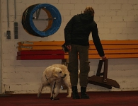 Kreatives Klickern Denise Nardelli 03'2009