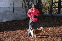 Kreatives Klickern Denise Nardelli 03'2009