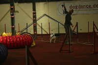 Nikolaus Agility for Fun 06.12.2009