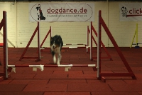 2009 CBF-Dogs
