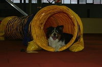Oktober 2009