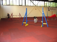 Training 18.09.2009