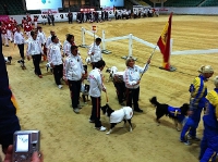 2010 CBF-Dogs