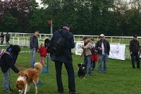 2010 CBF-Dogs