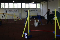 2010 CBF-Dogs