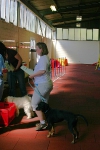 2010 CBF-Dogs