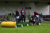 2010 CBF-Dogs