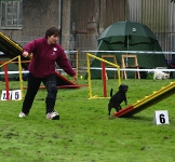 Event for Happy Dogs 19.09.2010 Dortmund