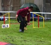 2010 CBF-Dogs