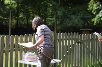 Agility for Fun Turnier Biggesee