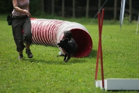 04.09.2011 Agility for Fun Turnier Biggesee