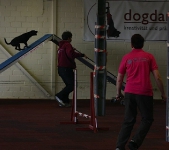 17.04.2011 Agility for Funturnier Iserlohn